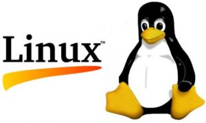 How to update linux