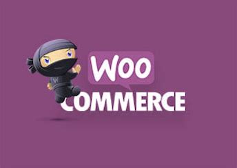 WooCommerce_Development