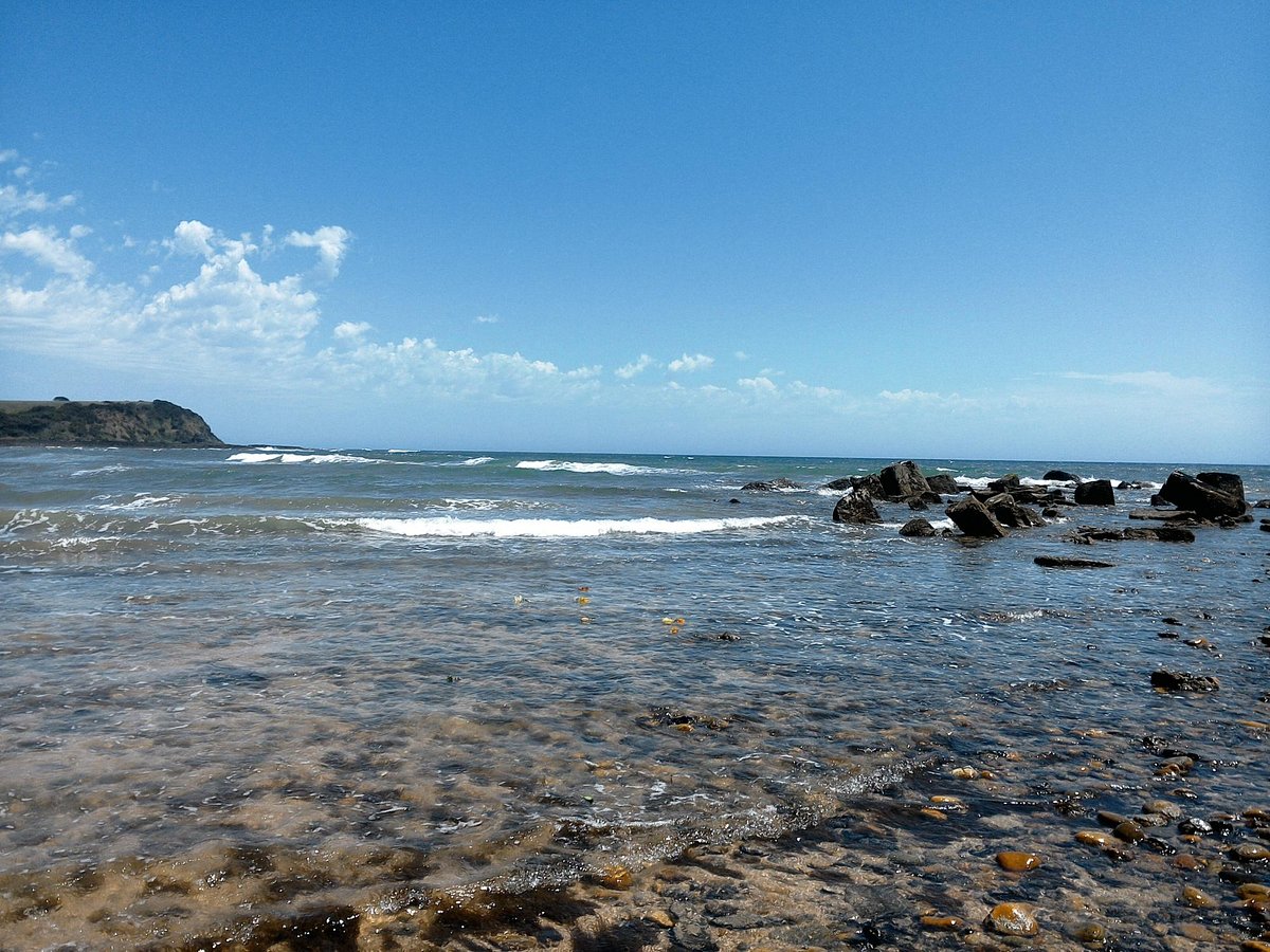 coles-beach-davenport-tasmania