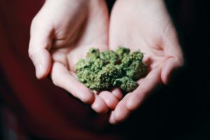 CBDBusinesses