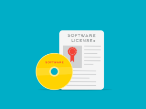 Common Licensing Options For Learning Management Systems
