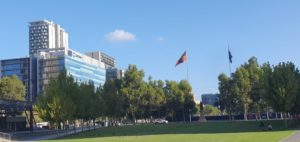 Website Design & Development Adelaide 40 StreetviewAroundAdelaideCBD