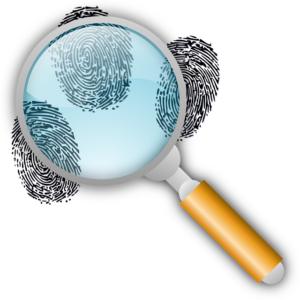 Understanding Lead Generation for Private Investigators