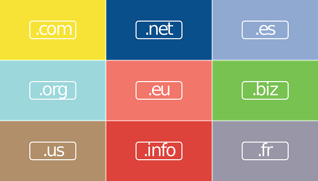 Domain Name Portfolio Management