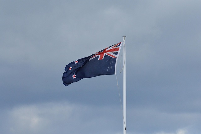 Why New Zealand Businesses Can't Ignore ORM