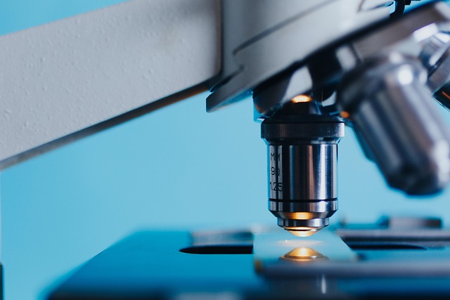 Best USB Microscopes (USA)