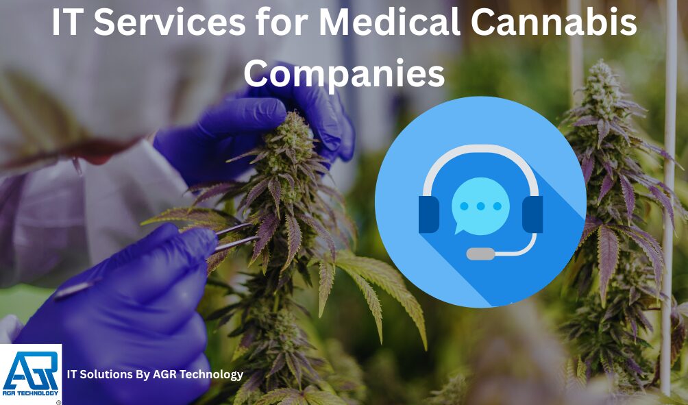 IT Services for Medical Cannabis Companies
