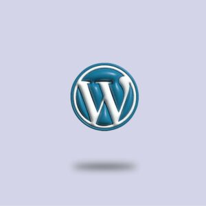 What Is WordPress VIP?