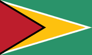 SEO Services Latin & South America (LATAM) 56 Guyana Flag