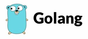 Go Development Services 19 GoLang
