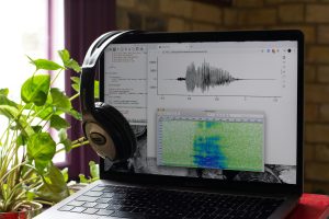 AI Voice Software Development Services 39 What Are AI Voice Software Development Services?