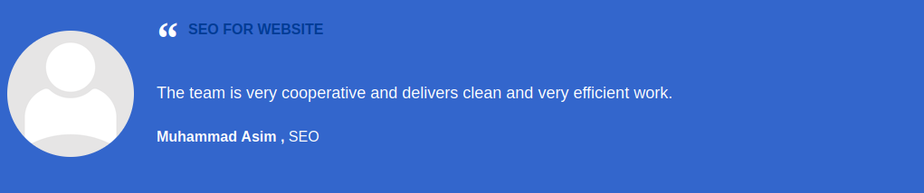 SEO for website Review