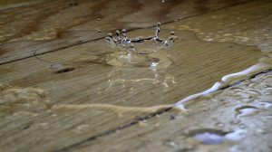 Trades & Home Services Digital Solutions 54 Water Damage