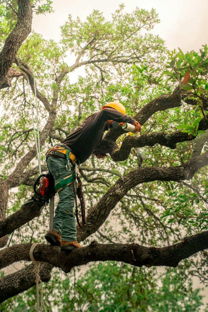 Tree Service Lead Generation Services 36 What Tree Service Lead Generation Services Actually Include