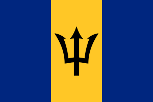 Technology & Digital Solutions for the Americas 28 Barbados-Flag