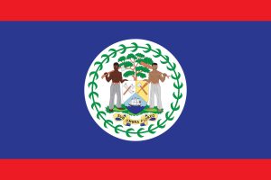 Technology & Digital Solutions for the Americas 19 BelizeFlag