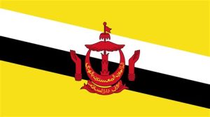 Technology & Digital Solutions Asia 22 Brunei-Flag