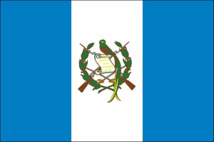 Technology & Digital Solutions for the Americas 22 Guatemala-Flag
