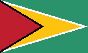 Technology & Digital Solutions for the Americas 43 Guyana-Flag