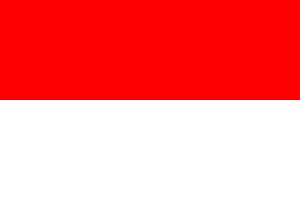 Technology & Digital Solutions Asia 18 IndonesiaFlag