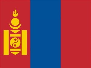 Technology & Digital Solutions Asia 29 Mongolia-Flag