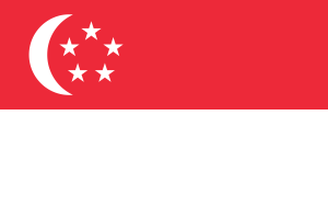 Technology & Digital Solutions Asia 16 SingaporeFlag