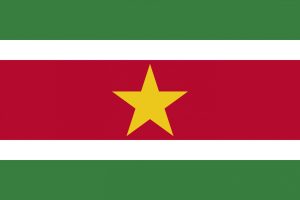 Technology & Digital Solutions for the Americas 46 Suriname-Flag