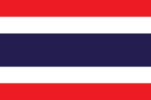 Technology & Digital Solutions Asia 19 ThailandFlag