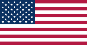 Technology & Digital Solutions for the Americas 16 USA-Flag